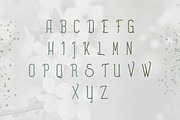 [Spring Vibes] Splendor Font -30%, a Font by VP Fonts (Thumbnail 7 of 12)