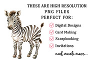 Watercolor Cute Safari Clipart, an Illustration by OK Design (Thumbnail 4 of 6)