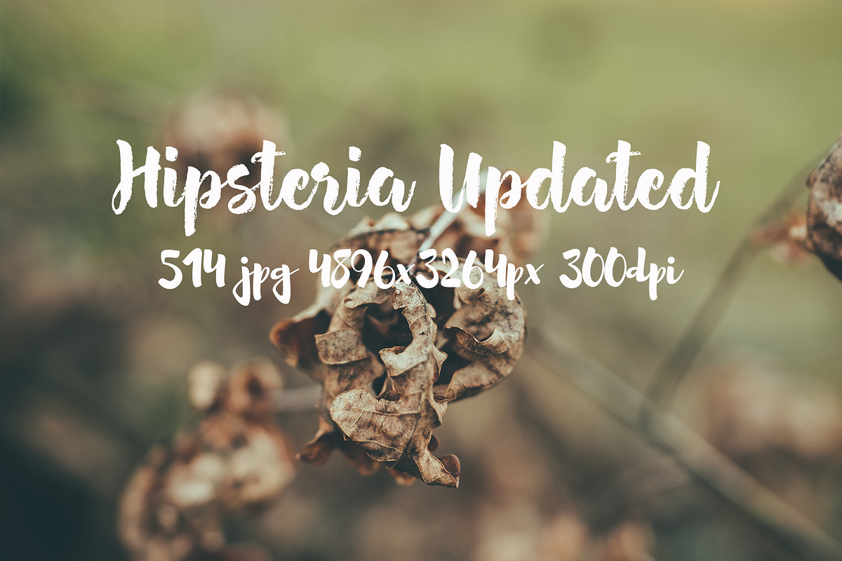 Hipsteria photo pack, a Templates & Theme by ApertureVintage (Photo 11 of 48)