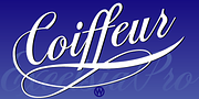 Excelsia Pro, a Script Font by Wiescher-Design (Thumbnail 1 of 11)
