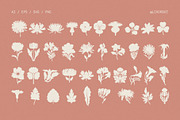 Decorative Botanica 75 Floral Motifs, a Decorative Illustration by likorbut (Thumbnail 3 of 9)