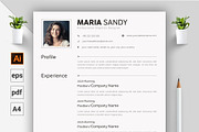 CV / Resume Template, a Resume Template by ARP Creation (Thumbnail 2 of 9)