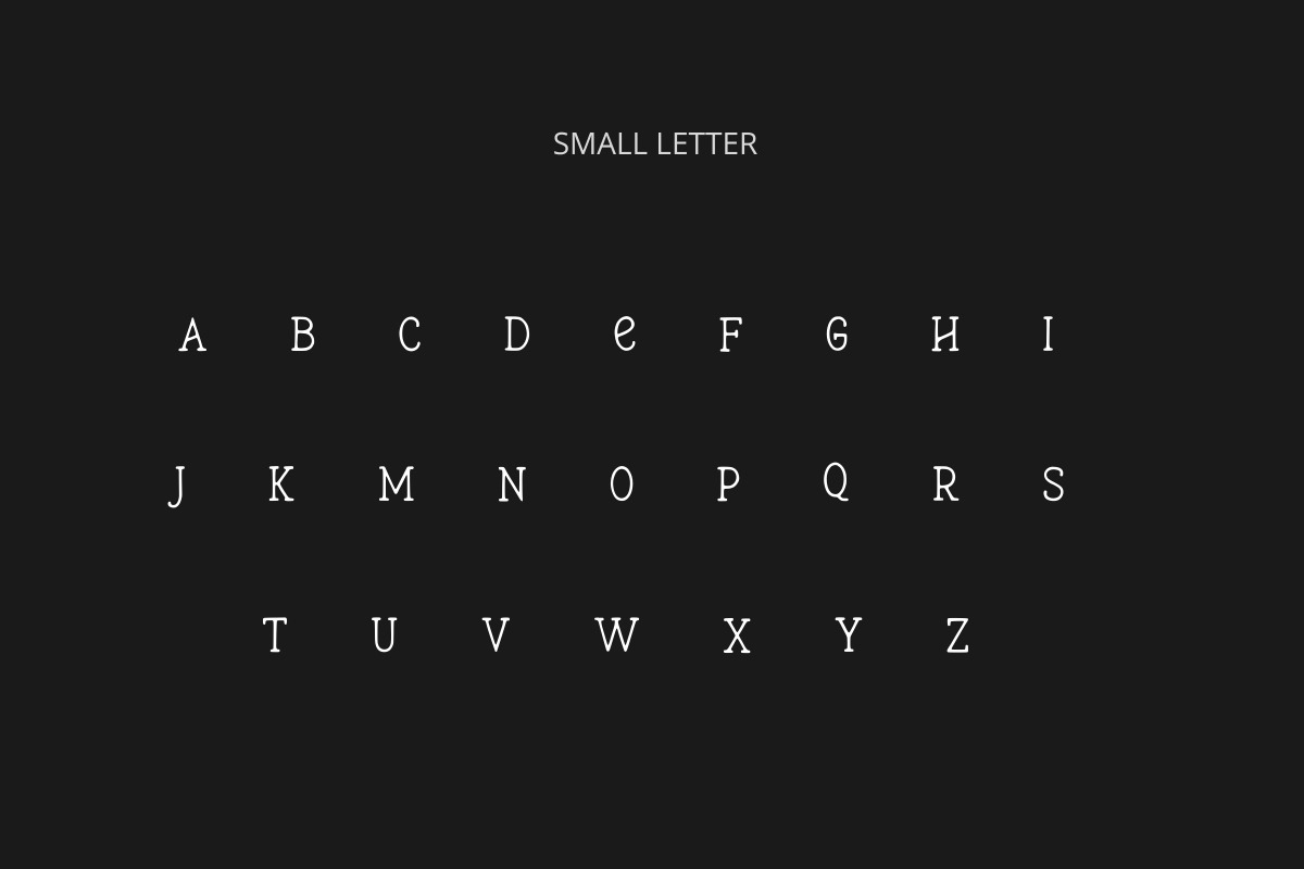 Marlowe Modern Mono Serif Typeface, a Serif Font by AN Productions (Photo 5 of 6)