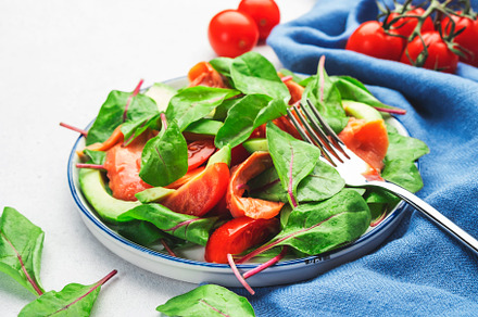 Salmon avocado salad, beet leaves, radicchio, tomatoes, lemon an, a Food & Drink Photo by 5PH