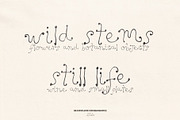 Dandelion Hand Drawn Font, a Handwritten Font by Madeline ODonoghue Design (Thumbnail 6 of 11)