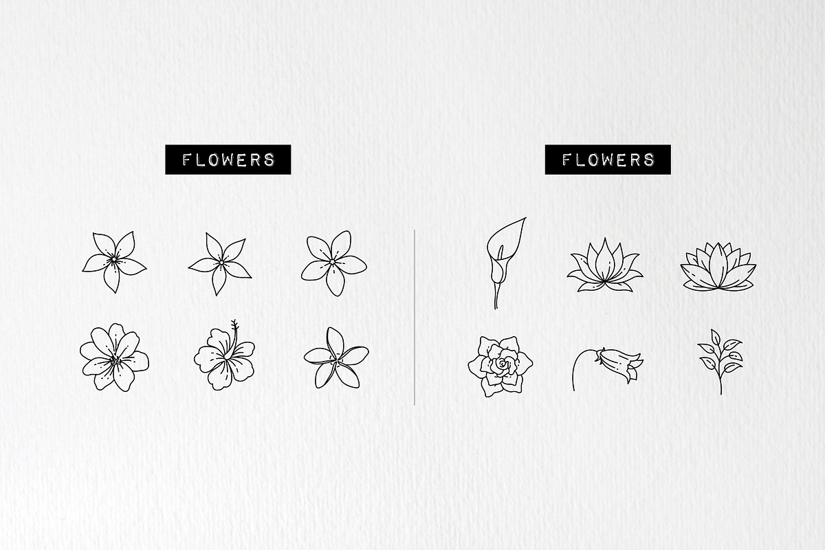 60 Plant & Floral Icons - Flower, an Outline Icon by Hatch Design Workshop (Photo 5 of 11)