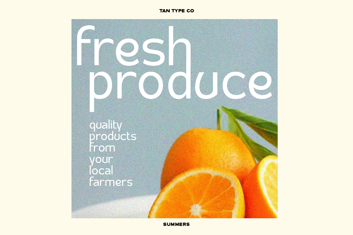 TAN - SUMMERS, a Sans Serif Font by TanType (Photo 9 of 10)