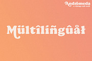 Andromeda // A Vintage Soft Serif, a Serif Font by Megs Lang (Thumbnail 13 of 18)