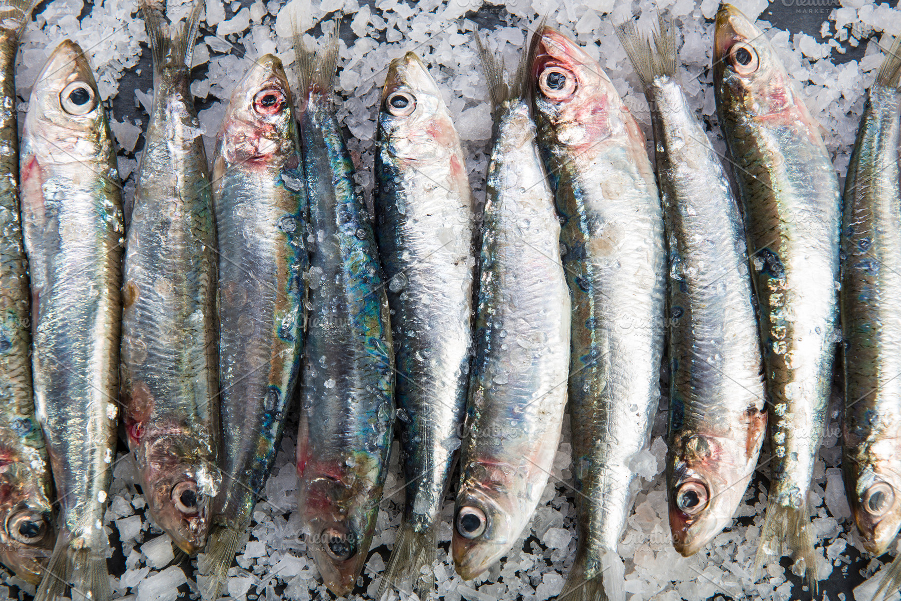Fresh sardines on a coarse salt layer over a slate background containing, a Food & Drink Photo by Angel Simon Photography