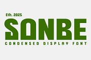 Sonbe Heavy Display, a Font by AuthenType (Thumbnail 1 of 9)