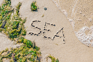 Word Sea handwritten on the beach, a Nature Photo by BOOCYS