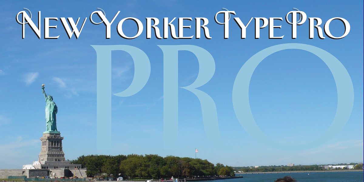 New Yorker Type Pro, a Serif Font by Wiescher-Design (Photo 2 of 8)