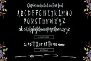 Sifrand Script, a Script Font by Areatype (Thumbnail 5 of 7)