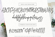 Wild & Rad Handwritten Script Font, a Script Font by Creator Goodies (Thumbnail 5 of 10)