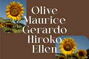 Averie Brenton - Serif Font Family, a Serif Font by Grezline Studio (Thumbnail 9 of 12)