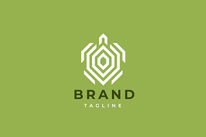Turtle logo design.