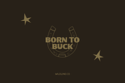 Bronco Serif | A Hand Lettered Serif, a Font by Wildline.Co (Thumbnail 2 of 3)
