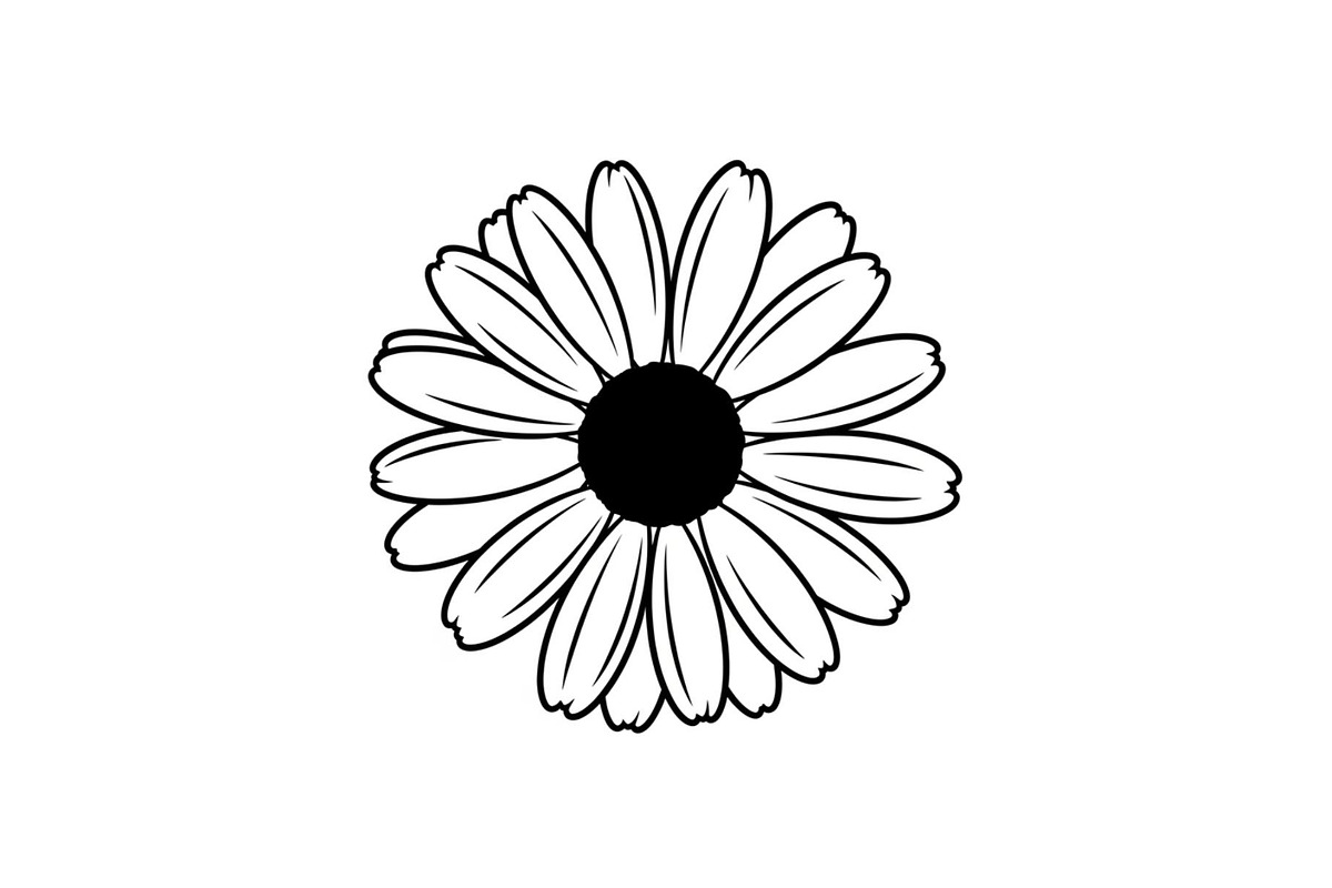 Daisy Flower Line Art Vector Bundle0, an Illustration by jahid234 (Photo 14 of 51)