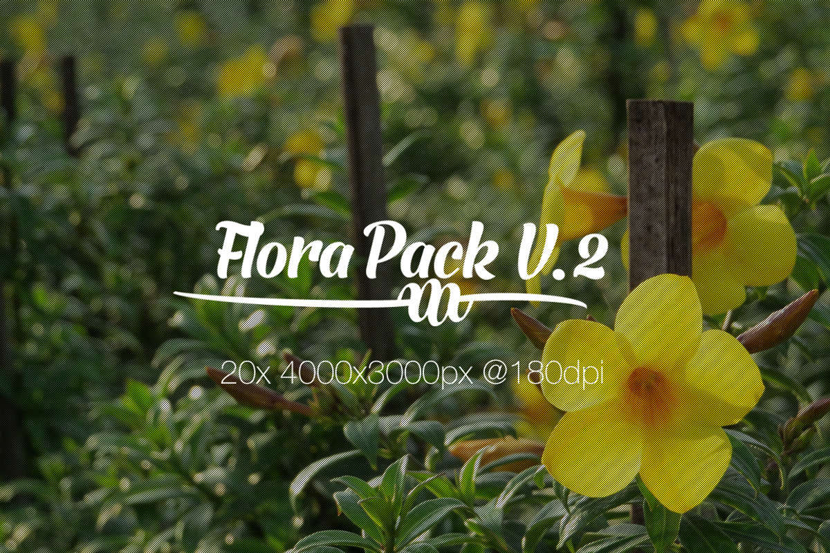 Flora Photo Pack V2 preview 5