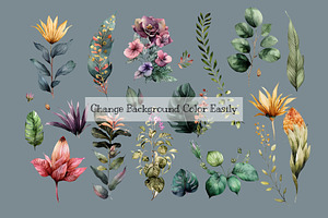 Watercolor Beautiful Botanicals