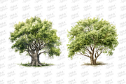 Beautiful Dove Clipart, an Object Illustration by Digital Xpress (Thumbnail 6 of 7)