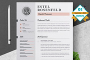 Resume/CV Bundle | 200+ for $29, a Resume Template by ResumeInventor (Thumbnail 132 of 207)