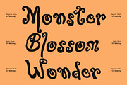 CS Mimsey – Decorative Font, a Handwritten Font by Craft Supply Co. (Thumbnail 3 of 8)