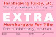 Rice - A Sans Serif Superfamily, a Sans Serif Font by Font Kitchen (Thumbnail 9 of 12)