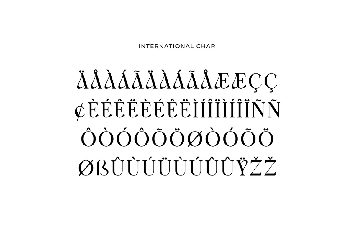 Rimogles Modern Serif Font, a Serif Font by UICreative (Photo 9 of 12)
