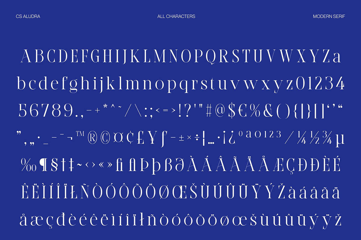 CS Aludra – Modern Serif Font, a Serif Font by Craft Supply Co. (Photo 8 of 8)