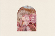 Coachwhip -  A Western Font, a Font by Antiquaria (Thumbnail 4 of 4)
