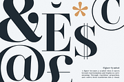 GC Pregio - Clean Serif Typeface, a Serif Font by Glyphonic (Thumbnail 7 of 15)