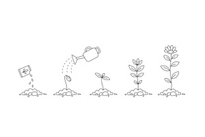 Plant Growth Stages. Seedling