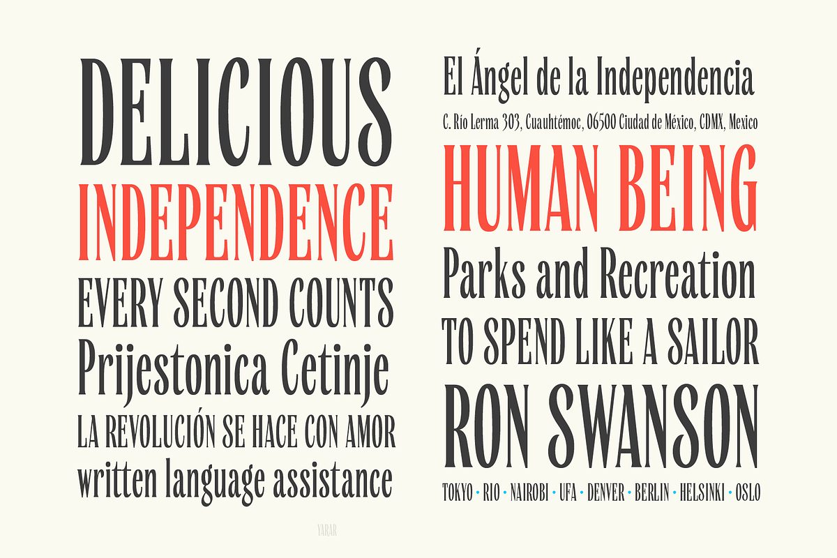 Yarar, a Serif Font by True Story Letterworks (Photo 6 of 11)