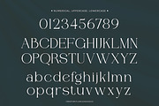 Gevilra - Elegant Serif Font, a Font by Flawless And Co (Thumbnail 9 of 10)