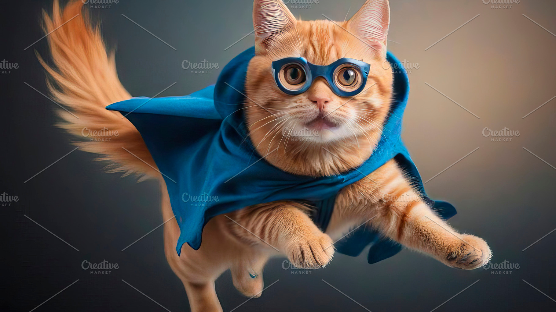 Cute ginger tabby cat dressed as sup, an Abstract Photo by TatsianaSalauyova