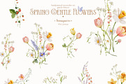 Watercolor Spring Gentle Flowers, a Decorative Illustration by Pamyatka Shop (Thumbnail 4 of 12)