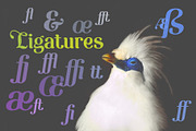 Etewut typeface, a Serif Font by Etewut (Thumbnail 7 of 10)