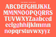 TNSC Means - Heavy Serif, a Serif Font by The Native Saint Club (Thumbnail 12 of 12)