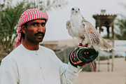 Emirates - Premium Lightroom Presets, an Action Add-On by PhotoMarket (Thumbnail 59 of 65)