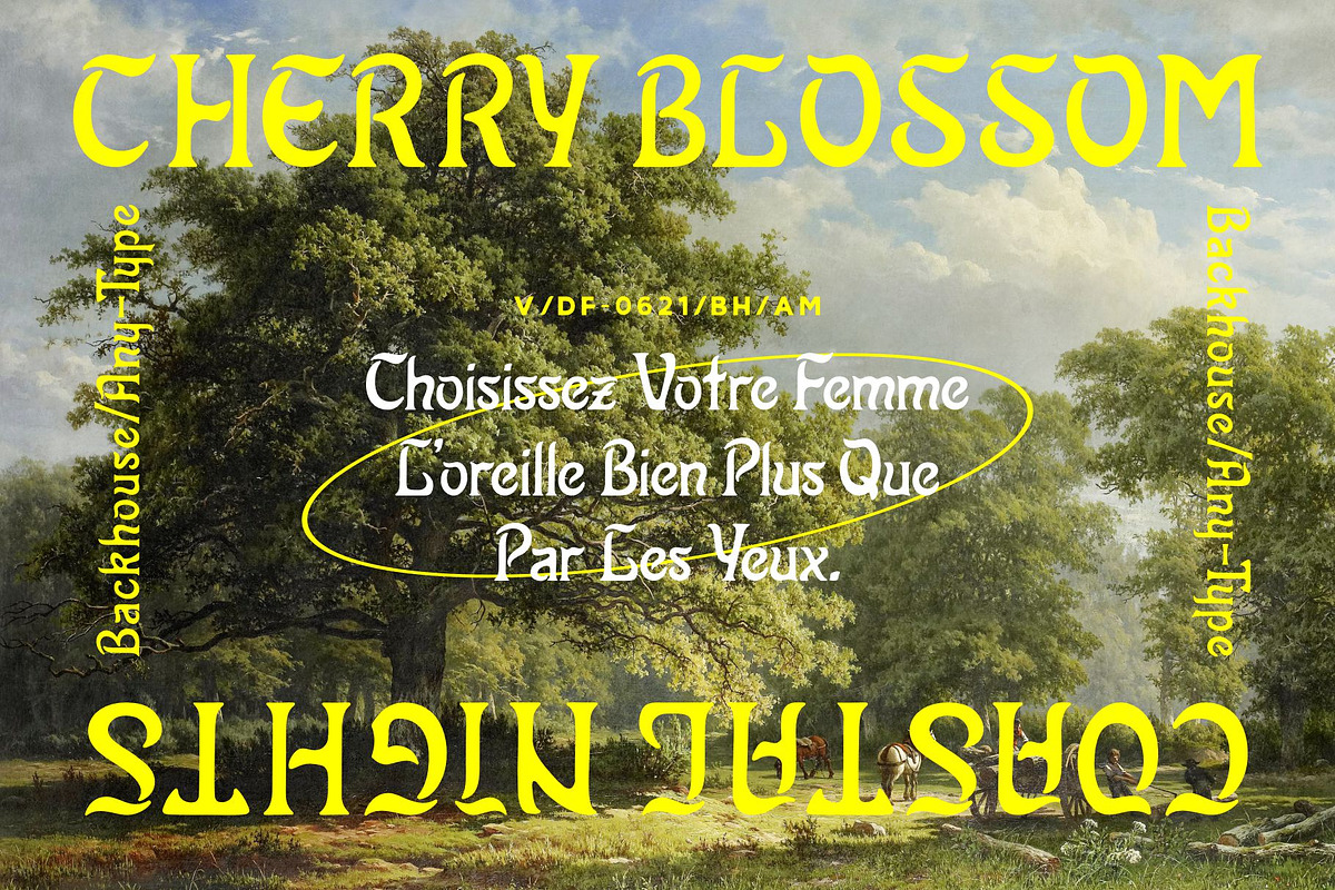 Backhouse Display Font, a Sans Serif Font by Any-Type® Foundry (Photo 3 of 11)