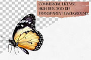 Watercolor Butterfly Clipart Set, an Animal Illustration by CropUp Creative (Thumbnail 4 of 4)