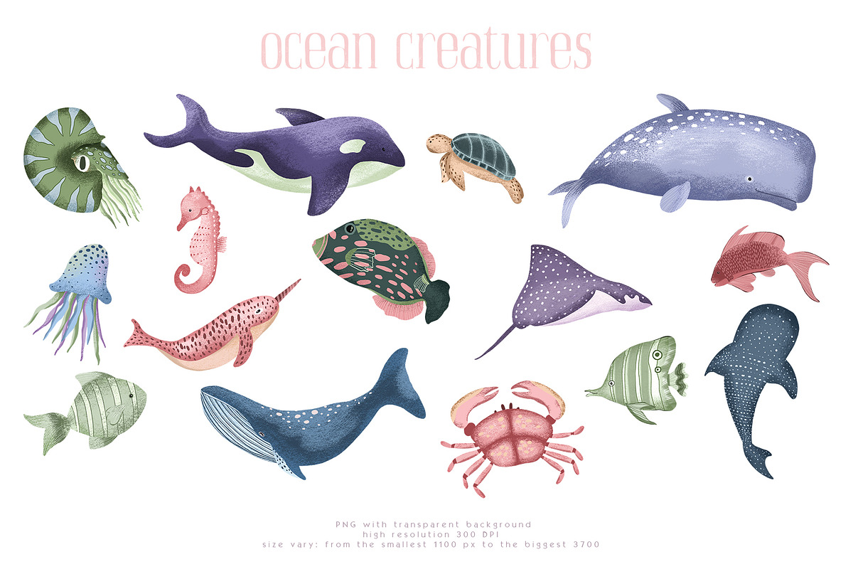Ocean clipart & digital paper, a Decorative Illustration by Yelloo Fish (Photo 4 of 19)