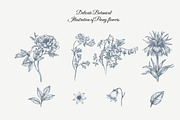 23 Collection - Peony Flowers, an Illustration by By_Pedram (Thumbnail 1 of 6)