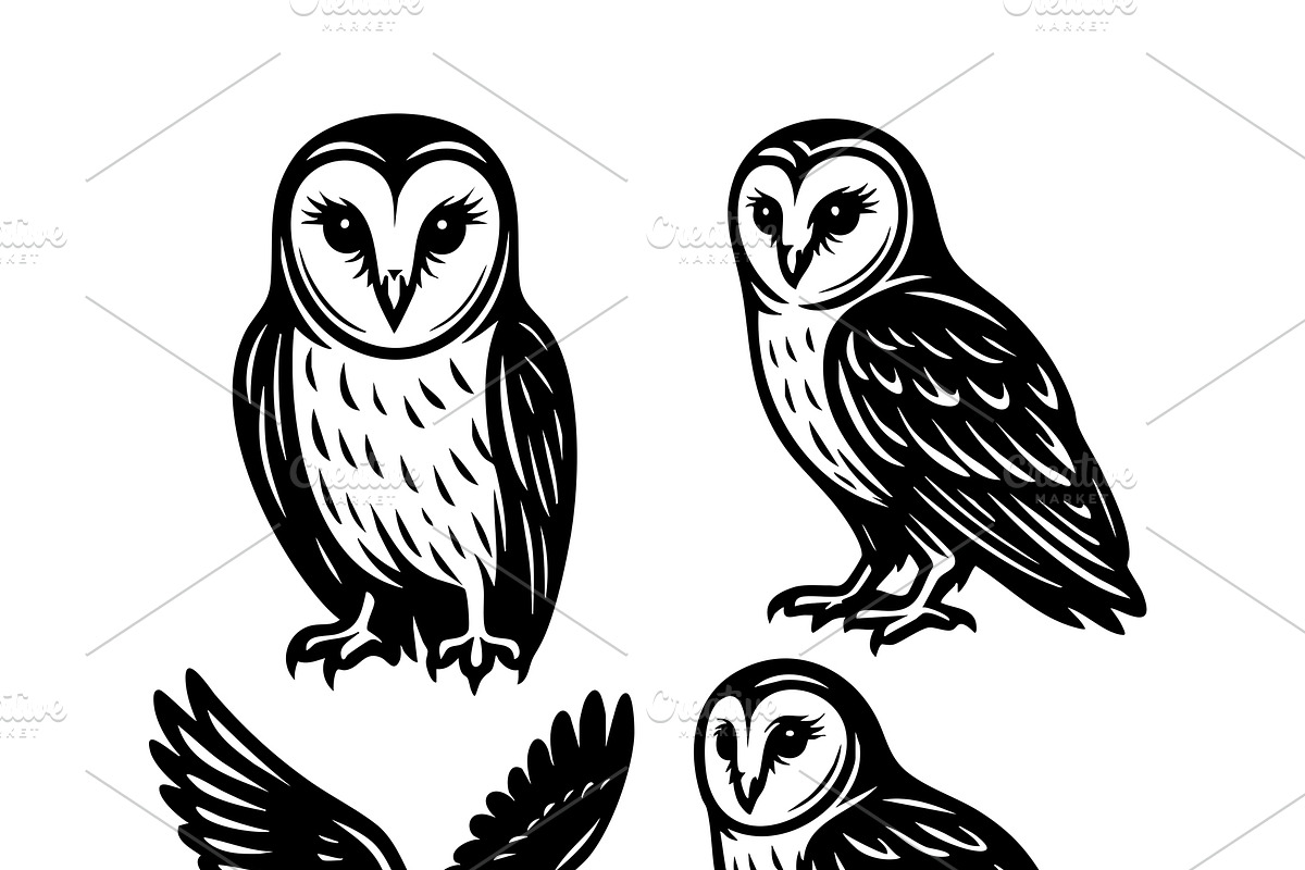 vector of four barn owls in various, an Animal Illustration by yod67