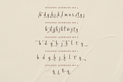 APOC - Maheera Bright Font, a Script Font by a Piece of Cake (Thumbnail 18 of 20)