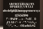Magilne Modern Alternate Serif, a Serif Font by Letterena Studios (Thumbnail 13 of 15)