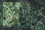 Artist Series - Lightroom Bundle 03 preview 6