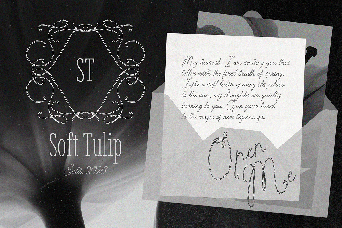 Cute Sign Romantic Textured Script, a Script Font by AnMark (Photo 2 of 11)