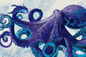 Creative octopus swimming in water, a Photo by Beautiful things